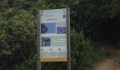 Trail Walking Banyuls-sur-Mer - BANYULS- SUR-MER 66 - Sentier littoral - cap Rederis - col de la Creu - Photo 17