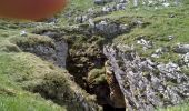 Tocht Stappen Bouvante - le plateaux de la gagere - Photo 1