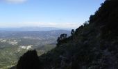 Tocht Stappen Gémenos - les dents de roque forcade - Photo 2