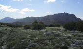 Randonnée Marche Gémenos - les dents de roque forcade - Photo 9