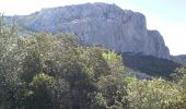Randonnée Marche Gémenos - les dents de roque forcade - Photo 15