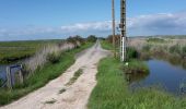 Tocht Andere activiteiten Moëze - Marais de Moëze-Brouage - Photo 3