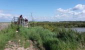 Tocht Andere activiteiten Moëze - Marais de Moëze-Brouage - Photo 1