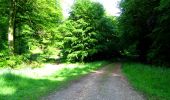 Trail Walking Longpont - en foret de Retz_33_Longpont_Vouty_Faverolles_AR - Photo 17