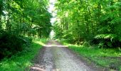 Trail Walking Longpont - en foret de Retz_33_Longpont_Vouty_Faverolles_AR - Photo 20