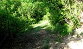 Trail Walking Longpont - en foret de Retz_33_Longpont_Vouty_Faverolles_AR - Photo 2