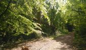 Trail Walking Jalhay - gileppe Stembert  longue - Photo 12