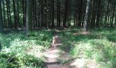 Trail Walking Jalhay - gileppe Stembert  longue - Photo 5