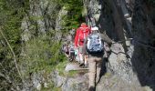 Trail Walking Le Valtin - Vosges-150516 - SentierRoches - Photo 3
