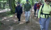 Trail Walking Le Valtin - Vosges-150516 - SentierRoches - Photo 16