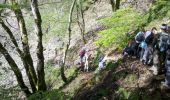 Trail Walking Le Valtin - Vosges-150516 - SentierRoches - Photo 4