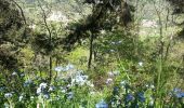 Excursión Senderismo Le Monastier-sur-Gazeille - monastier Masclaux - Photo 1