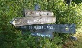 Trail Walking Saint-Martin-du-Frêne - Montagne de Charmoise - Photo 4