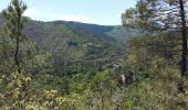 Trail Walking Saint-Étienne-Vallée-Française - Lebou  St Jean du Gard Stevenson - Photo 4