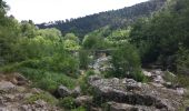 Trail Walking Saint-Étienne-Vallée-Française - Lebou  St Jean du Gard Stevenson - Photo 2