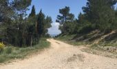 Trail Walking Oupia - Oupia to Ségonne - Photo 8