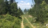 Trail Walking Oupia - Oupia to Ségonne - Photo 3