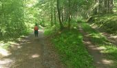 Trail Walking Chiny - J-D Forêt de Chiny 2eme partie  - Photo 2