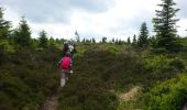Trail Walking Grandfontaine - Donon sentier des casemates - sud - Photo 15