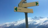 Tocht Stappen Chamonix-Mont-Blanc - lac blanc - Photo 5