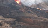 Randonnée Autre activité Sainte-Rose - La Réunion - Le volcan - Nez Coupé par le parking Fo-Foc - Photo 2