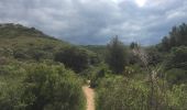 Trail Walking Gigean - Gardiole St Felix de Monceau - Photo 2