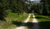 Excursión Senderismo Glandage - sucettes de borne - Photo 8