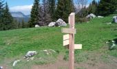 Randonnée Marche Glières-Val-de-Borne - ch auges ndn col gli - Photo 14