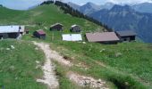 Randonnée Marche Glières-Val-de-Borne - ch auges ndn col gli - Photo 8