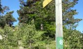 Trail Walking Saint-Martin-de-Clelles - tour du mont innaccessible - Photo 10