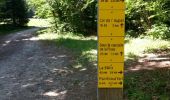 Trail Walking Saint-Martin-de-Clelles - tour du mont innaccessible - Photo 9