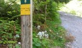 Trail Walking Saint-Martin-de-Clelles - tour du mont innaccessible - Photo 8