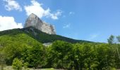 Trail Walking Saint-Martin-de-Clelles - tour du mont innaccessible - Photo 4