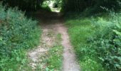 Trail Walking Quimper - kercavadec - Photo 5