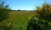 Tour Wandern Cisternes-la-Forêt - Bois des bauges  - Photo 2