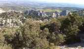 Trail Walking Gigondas - Dentelles de Montmirail (dentelles sarrasines) - Photo 4