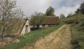 Tour Wandern Saint-Anthème - jasserie du coq noir - Photo 4