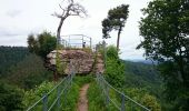 Trail Walking Wissembourg - Le Guttenberg dans le Munttat.  - Photo 13