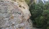 Trail Walking Buoux - L'Aiguebrun Sivergues - Photo 6