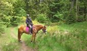 Trail Equestrian Baelen - porte de drossard - Photo 2