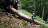 Tocht Mountainbike Bagnères-de-Luchon - ancienne route Hospices circuit F5 dernier tronçon - Photo 1