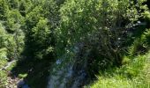 Trail Walking Picherande - Ravel Lac Chauvet - Photo 4
