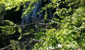 Trail Walking Picherande - Ravel Lac Chauvet - Photo 3