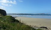 Excursión Bici de montaña Camaret-sur-Mer - 2015-06-03 Pointe de la Chèvre - Photo 16