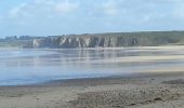 Excursión Bici de montaña Camaret-sur-Mer - 2015-06-03 Pointe de la Chèvre - Photo 15