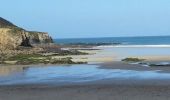 Excursión Bici de montaña Camaret-sur-Mer - 2015-06-03 Pointe de la Chèvre - Photo 14