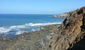 Tocht Mountainbike Camaret-sur-Mer - 2015-06-03 Pointe de la Chèvre - Photo 11