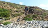 Excursión Bici de montaña Camaret-sur-Mer - 2015-06-03 Pointe de la Chèvre - Photo 10