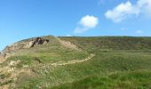 Excursión Bici de montaña Camaret-sur-Mer - 2015-06-03 Pointe de la Chèvre - Photo 8