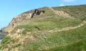 Tour Mountainbike Camaret-sur-Mer - 2015-06-03 Pointe de la Chèvre - Photo 7